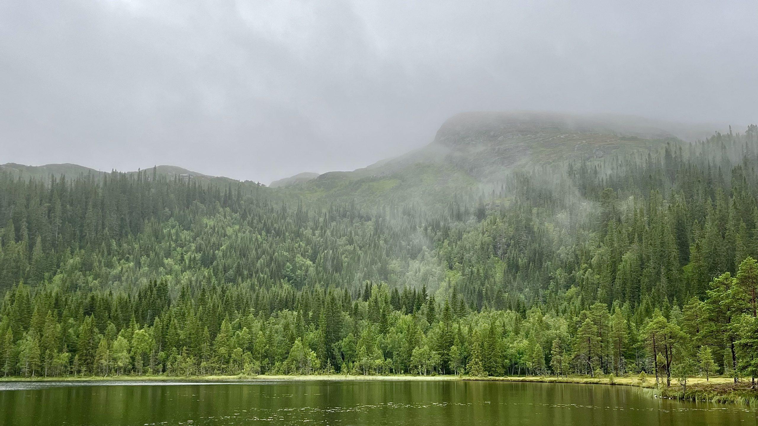 The green, green grass of home…